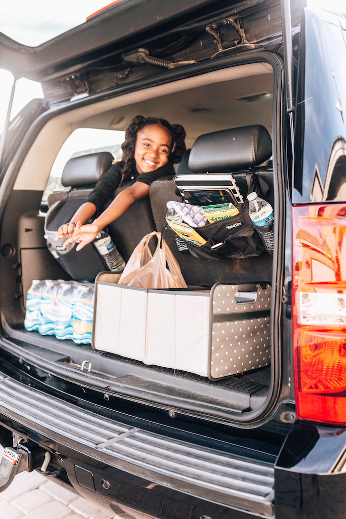  Trunk Organizer With Cooler & Car Seat Organizer for Car Life :  Automotive