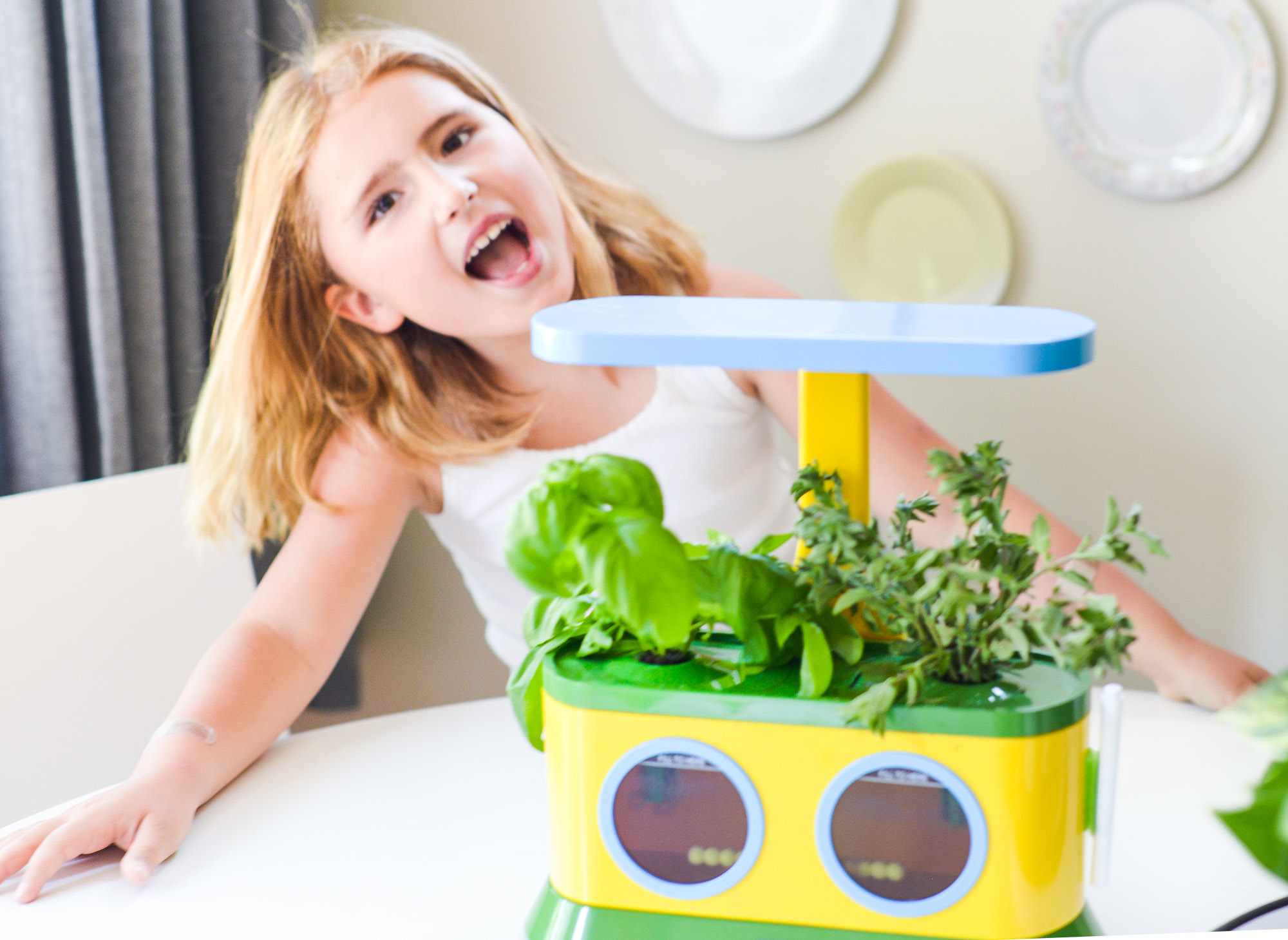 A Genius Gardening Project You (And Your Kids) Will Love