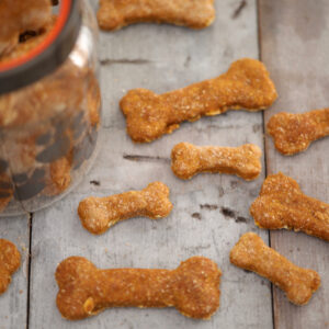 DIY Gifts for Dogs: Healthy Homemade Dog Treat Recipes - Whole Dog Journal