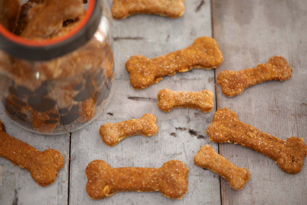 Pets at hotsell home puppy biscuits