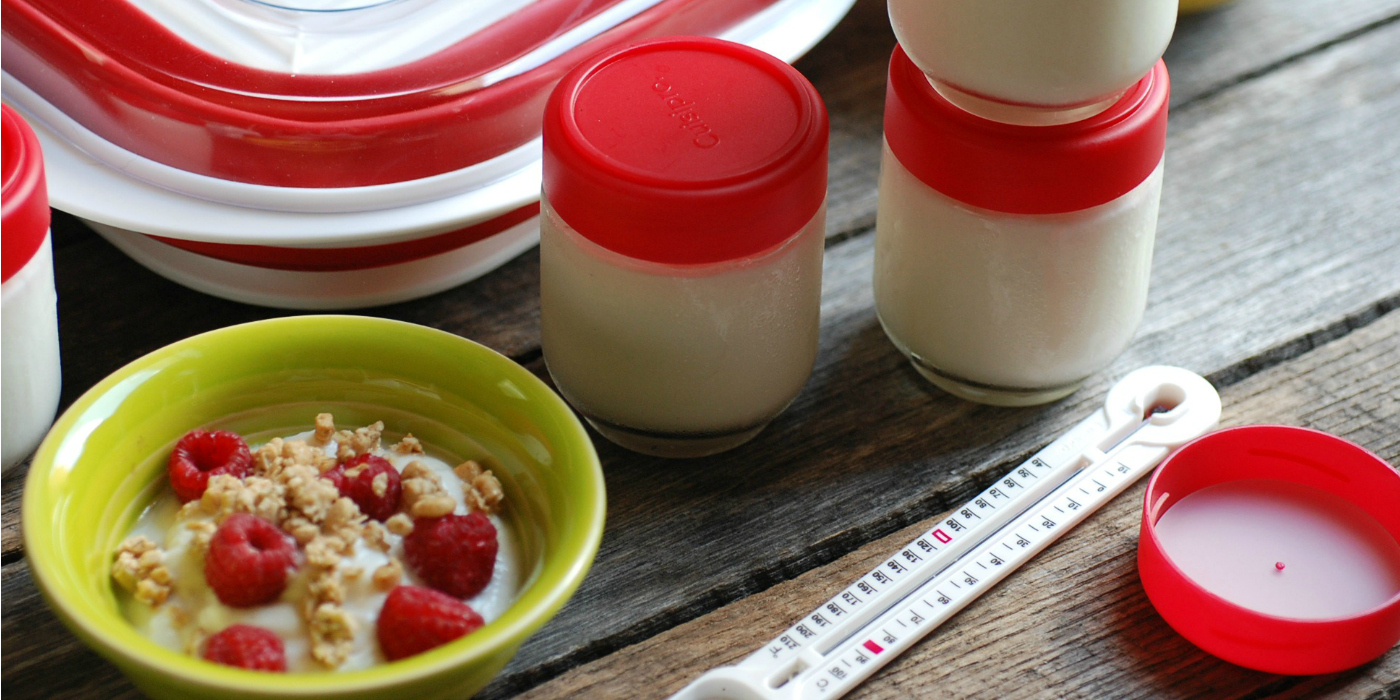 Yogurt makers to cook delicious homemade yogurt