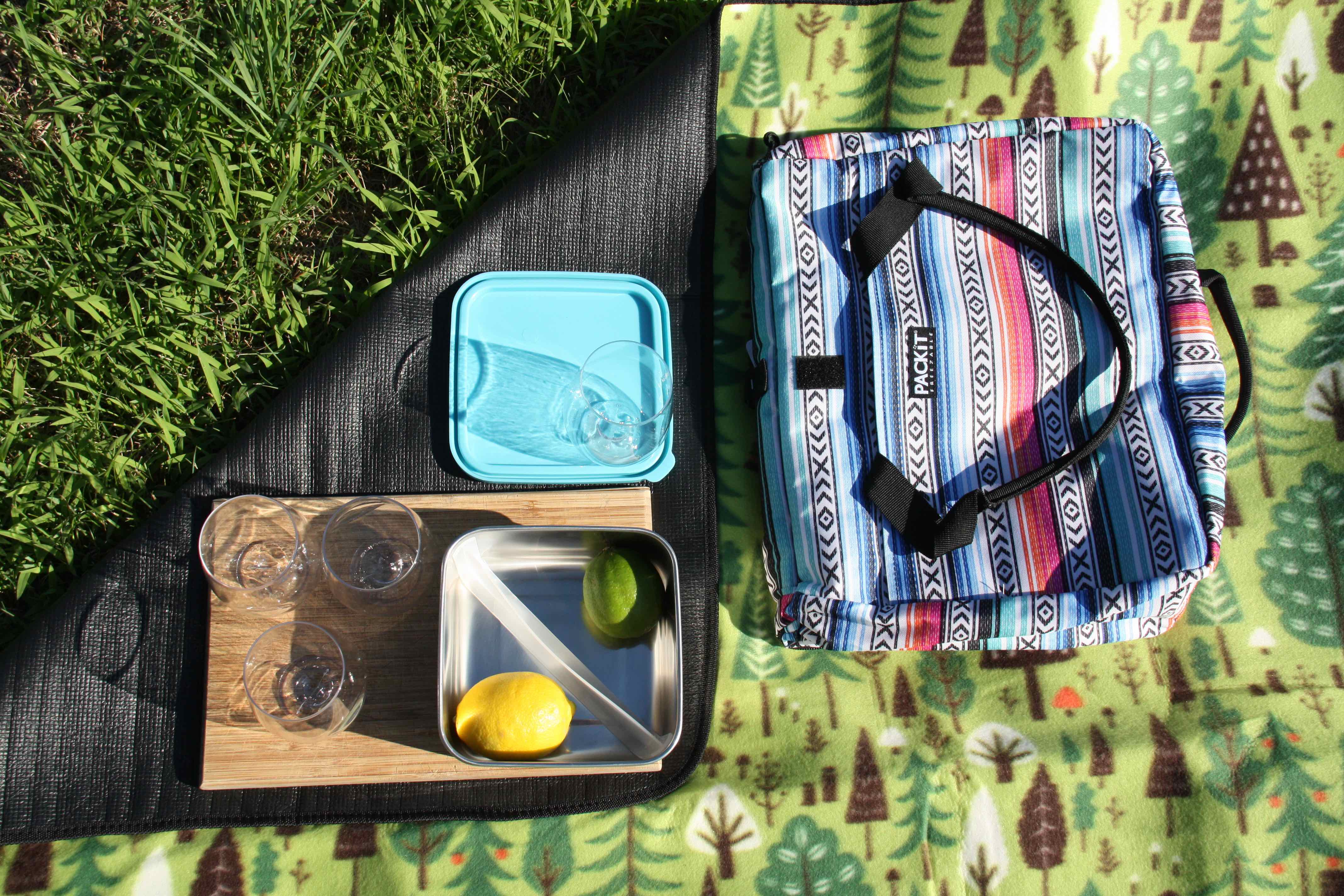 Pack Up Your Picnic With 4 Must-Have Product Picks
