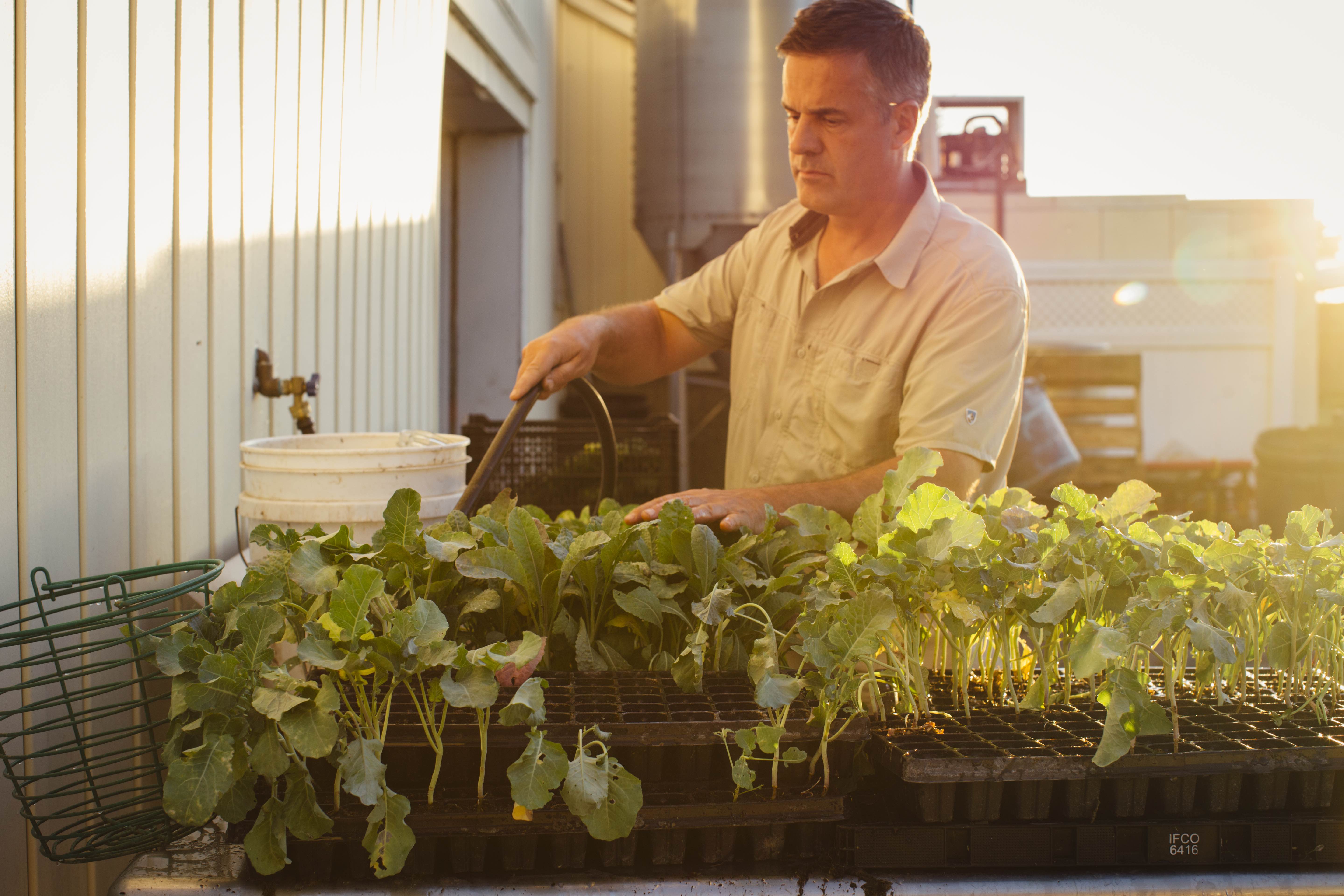 How These Two Men Traded In City Life for Farm Life