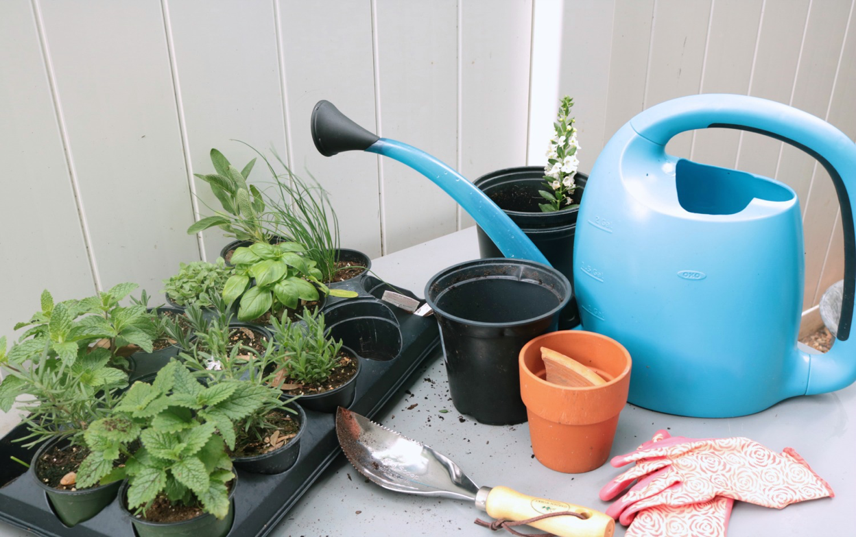 Getting Started with Small Space Herb Gardening