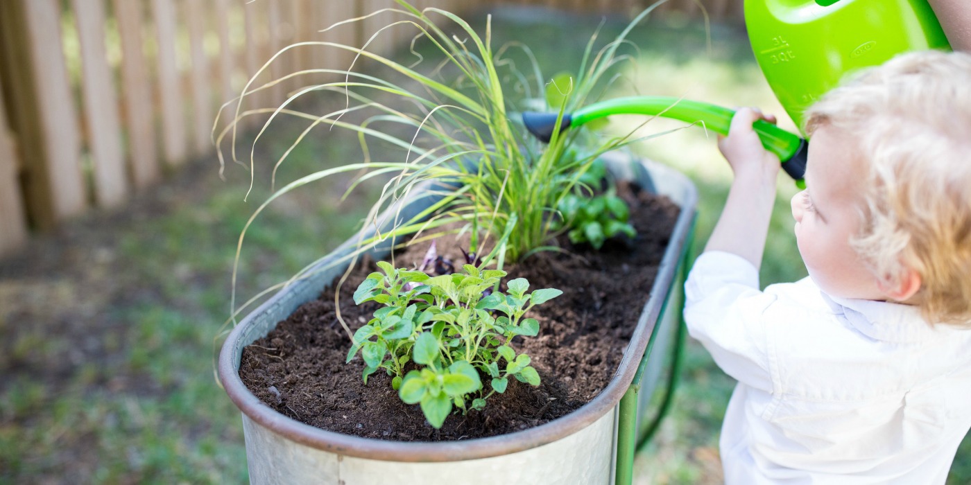 Toddler-Friendly Gardening Tips & Ideas