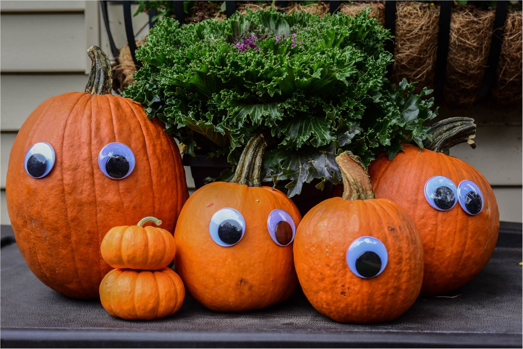 Boo on the Block: A Neighborhood Halloween Party | The Inspired Home