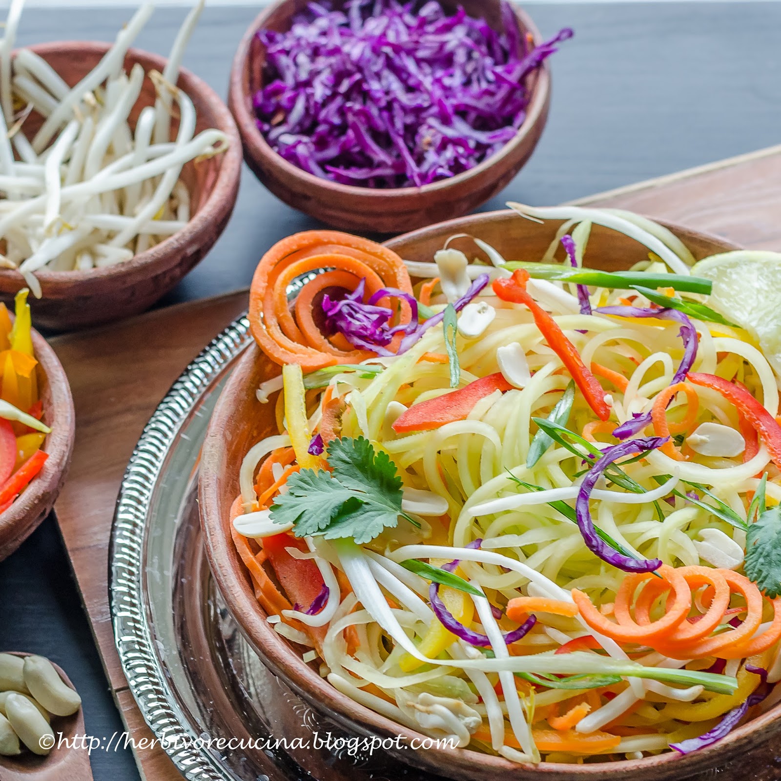 The Complete Vegetable Spiralizer Cookbook (Ed 2): Delicious Gluten-Free,  Paleo, Weight Loss and Low Carb Recipes For Zoodle, Paderno and Veggetti  Sli (Paperback)