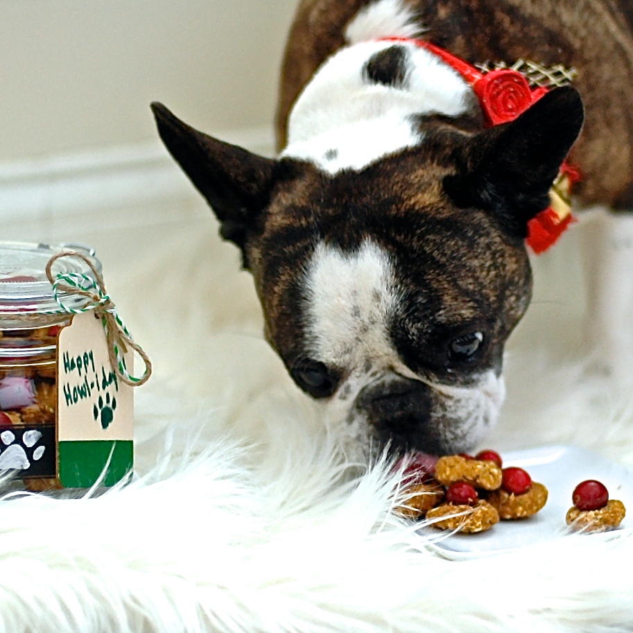 Freshen Up Fido's Breath: A DIY Guide to a Homemade Dog Water