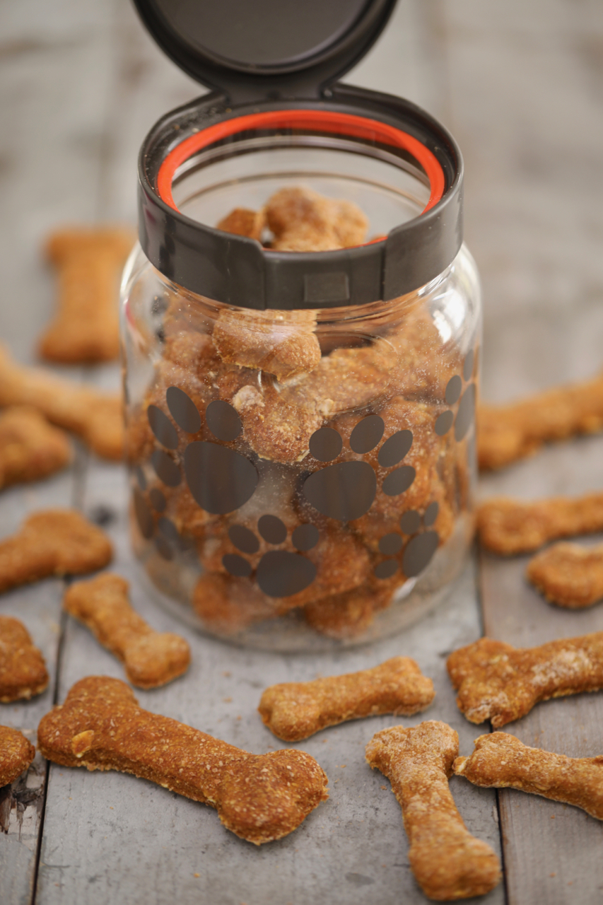 Pumpkin Peanut Butter Homemade Dog Biscuits Recipe