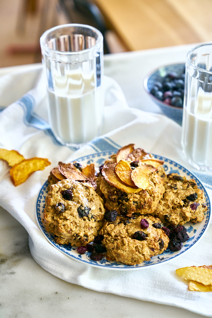 Dehydrator Chocolate Chip Cookies