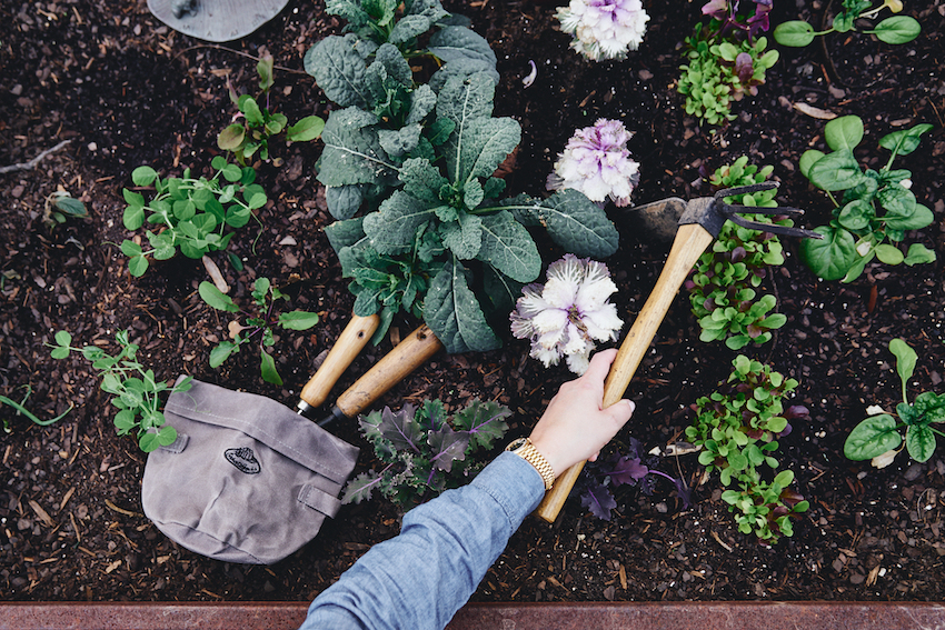 Kikkerland Garden Scissor Set