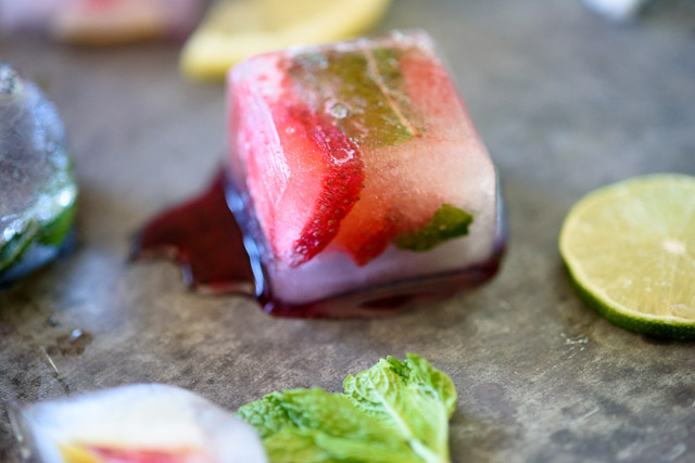 Fruit & Herb Ice Cubes - My Fussy Eater