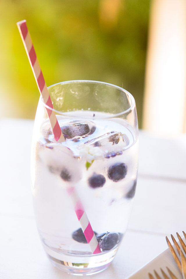 These Fruit-Infused Ice Cubes Are a Complete Hydration Game-Changer - Brit  + Co