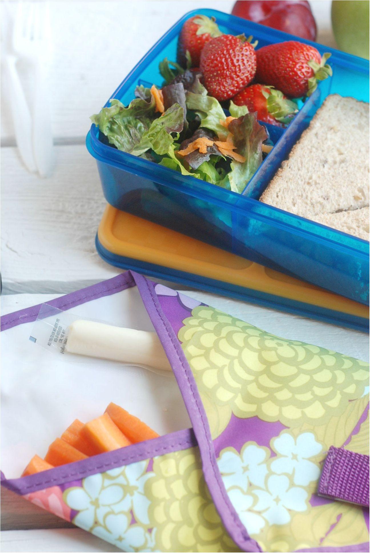 Back to School Lunchbox Troubleshooter