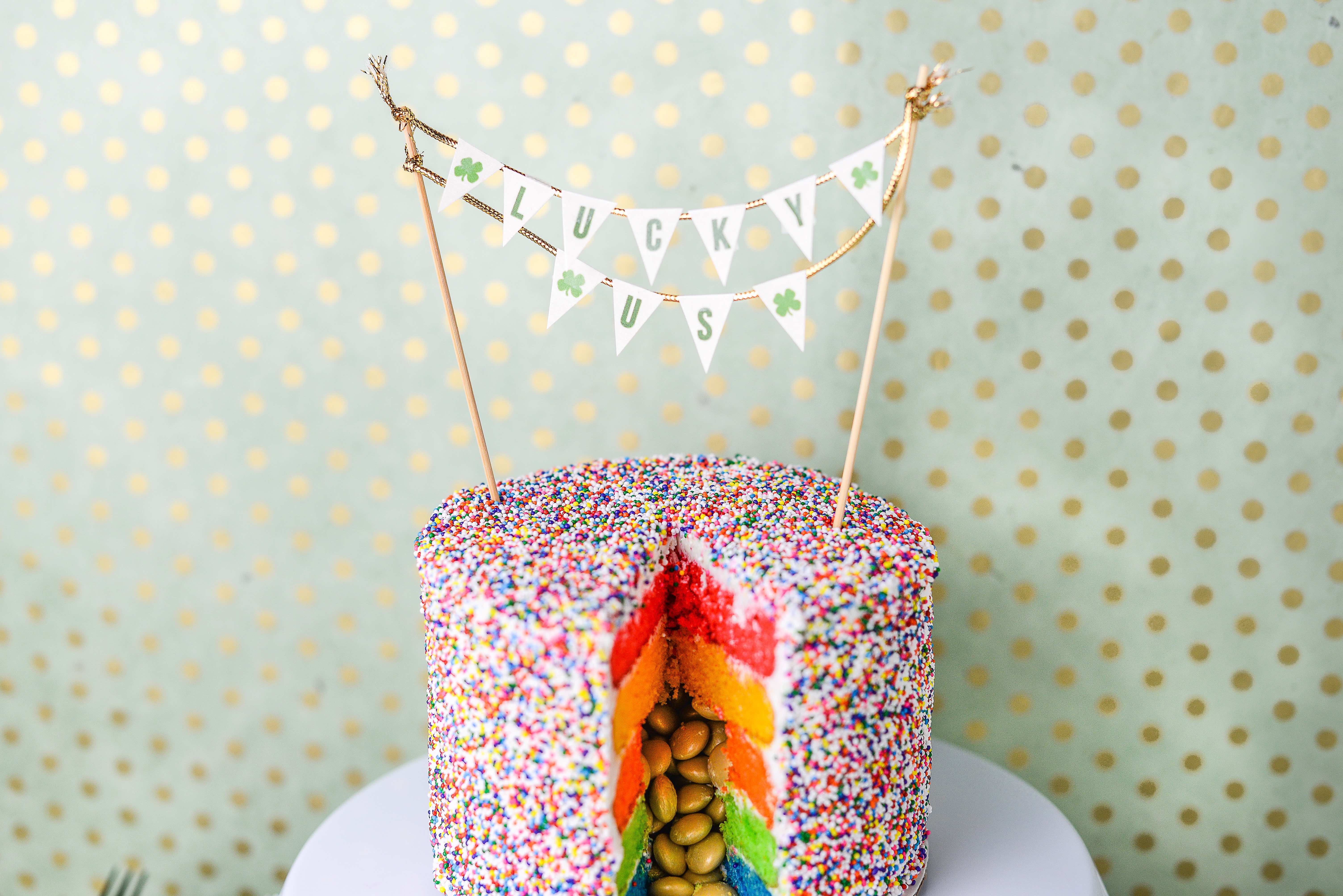 Christmas Chocolate 4-Layer Rainbow Cake