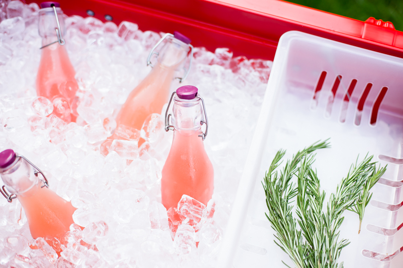 Cocktailgate! The Best Tailgate Cocktails: Ideas for Drinks to Bring Your  Friends Before the Next Football Game