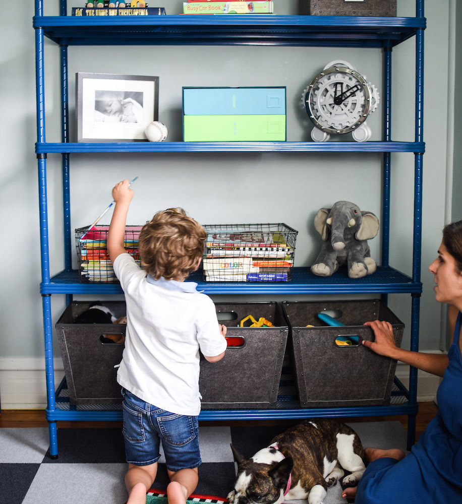 Discover Super-Sized Toy Storage Organizer