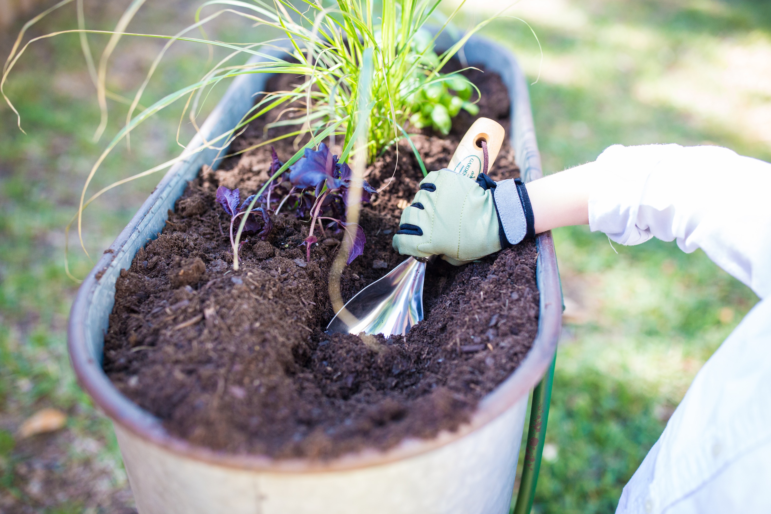 Gardening with Toddlers & Kids | Caroline Edwards | The Inspired Home